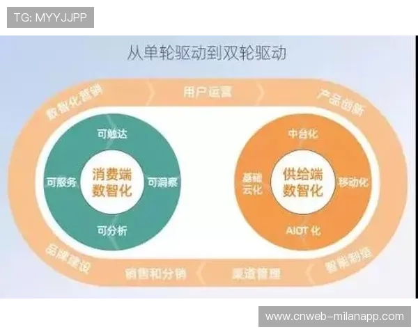 赛事组织体系本季度加速向多层次供给结构转型