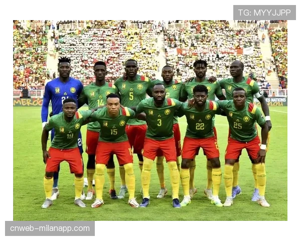 喀麦隆球迷在球场外载歌载舞,气氛热烈